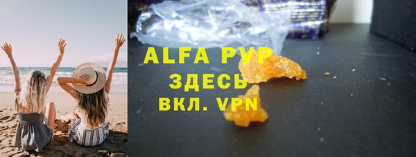 PSILOCYBIN Бородино