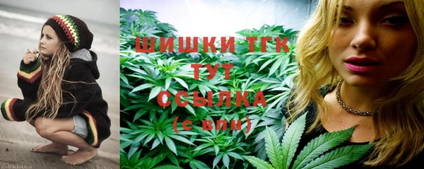 PSILOCYBIN Бородино