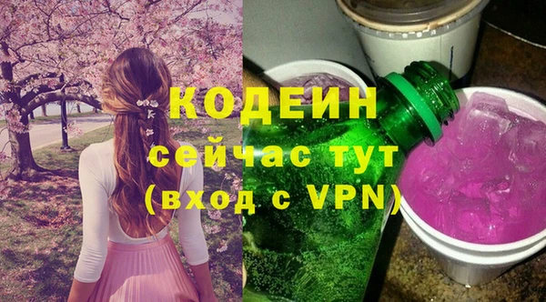 PSILOCYBIN Бородино