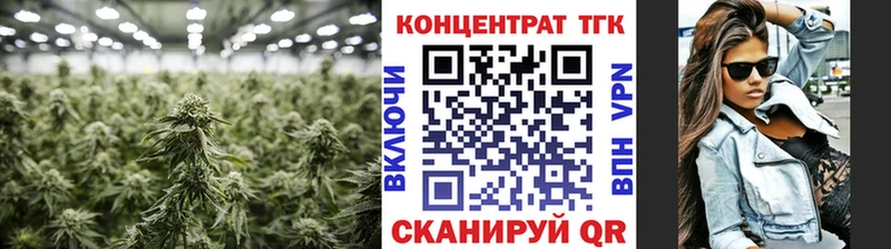 Купить где  Чехов  ТГК THC oil 